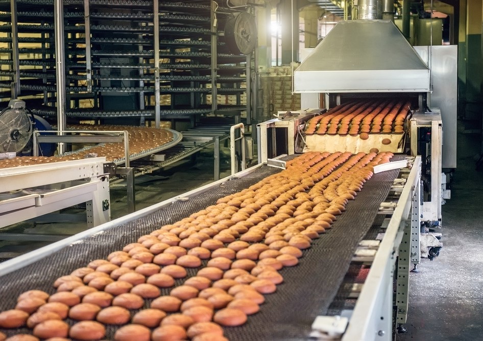 1000_F_208312601_PEN1i6crcrovHYb9zcnqwVmPrIuH937O-transformed